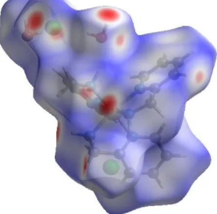Fig. 7. 3D Hirshfeld surface mapped over d norm  for visualizing the molecular interactions of  the studied complex