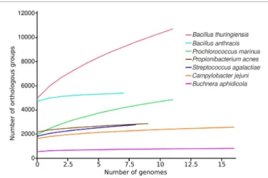 Figure 1: Pan-genome curves of seven different bacterial species. The  average pan-genome size (i.e