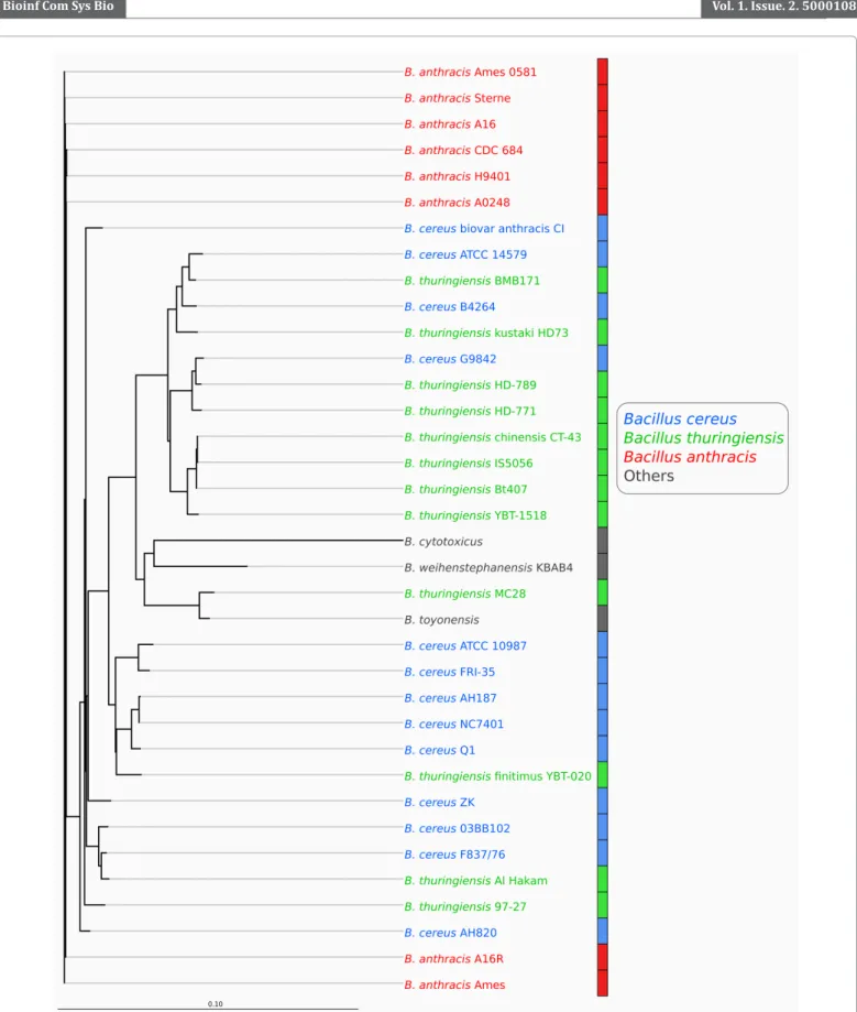 Figure 3: Dendrogram based on the AAI. Dendrogram based on the average amino acid identity of the shared genes (AAI) between all genome pairs  of the Bacillus cereus group
