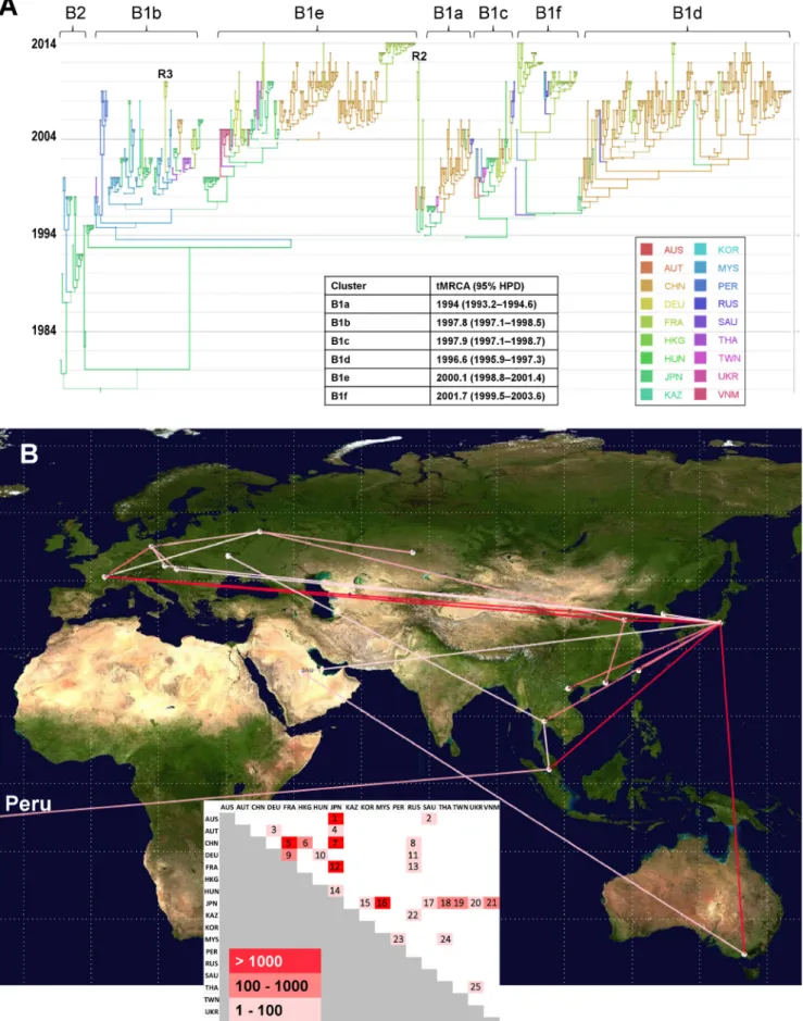 FIG 3 Phylogeography of coxsackievirus A16 genogroup B. (A) Temporal distribution of lineages