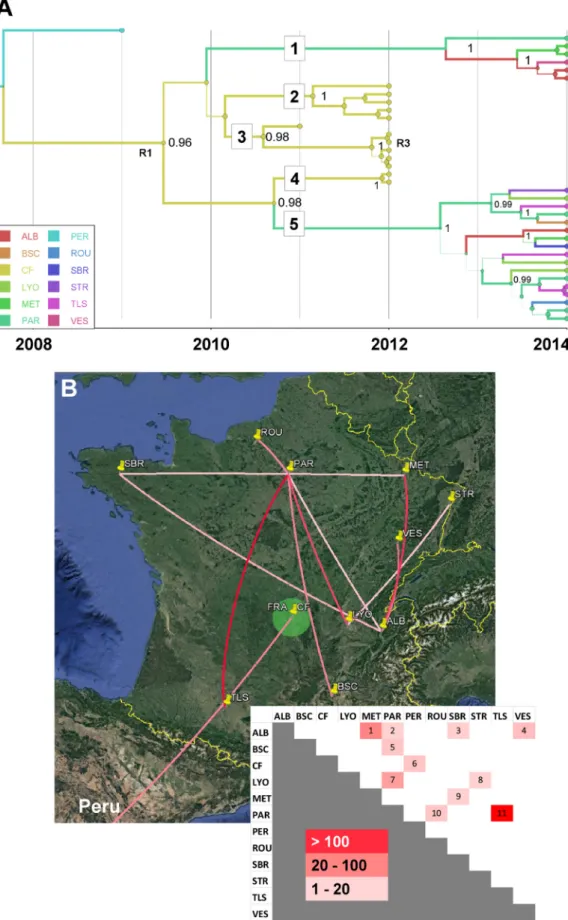 FIG 4 Phylogeography of coxsackievirus A16 clade D. Temporal distribution of lineages (A) and pattern of spatial spread assessed among French cities (B)