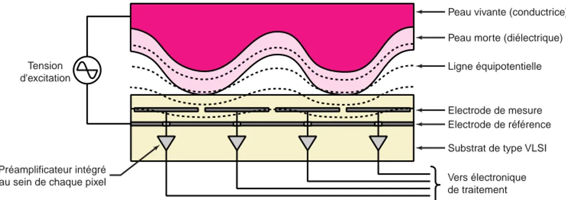 Figure 13 : Capteur capacitif utilisant des pixels comportant une unique électrode de mesure  [10]