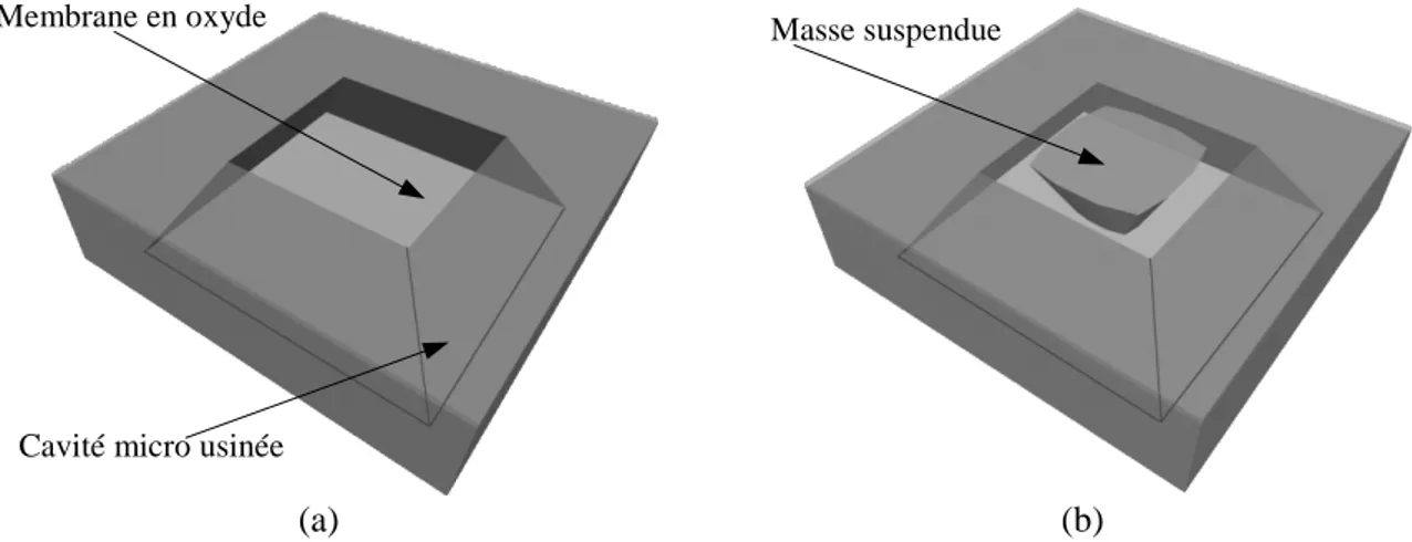 Figure 11 : Schéma des différentes structures résultantes d’un micro-usinage en volume face arrière.