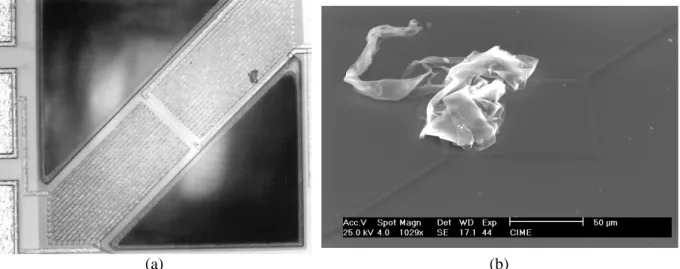 Figure 43 : Images optiques (a) et MEB (b) de particules de poussière déposées sur des microstructures.