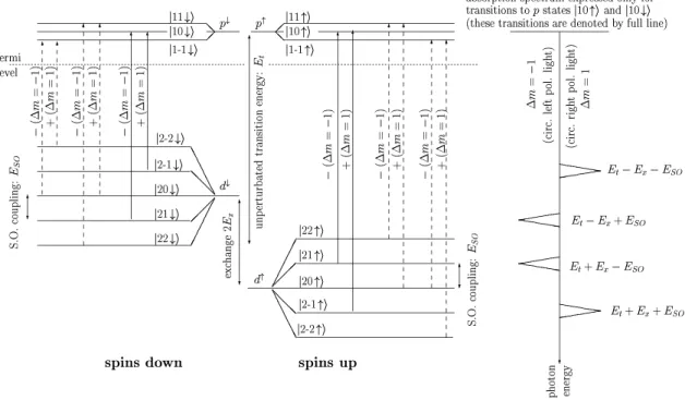 Figure 2.6: Schematic modification of the electronic structure of p and d states by “magnetic” perturba- perturba-tions