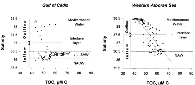 Fig. 7. Scatter plot of TOC concentrations vs. salinity. In the Gulf of Cadiz and at Tarifa Narrows, strong Atlantic inflow is marked by ´ salinity lower than 36.50, Mediterranean outflow is traced by salinity greater than 38.00 and intermediate salinities