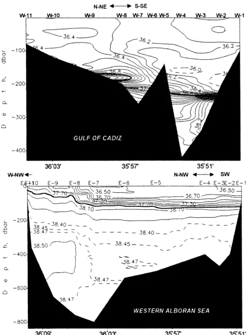 Fig. 3. Distribution of salinity on western Gulf of Cadiz and eastern Western Alboran Sea entrances of the Strait of Gibraltar