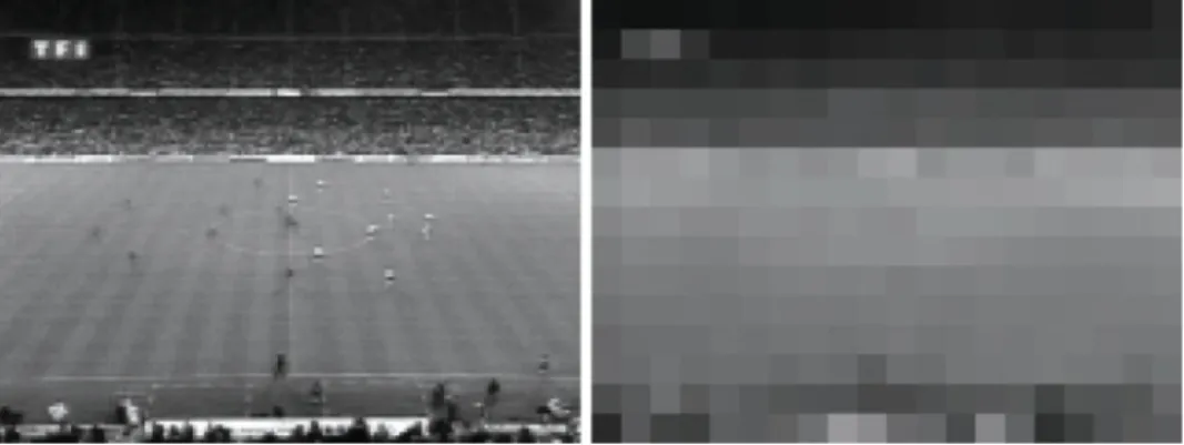 Figure 11. Réduction de la résolution spatiale d'une image par un facteur 64 : image originale (à gauche) et image réduite (à droite).