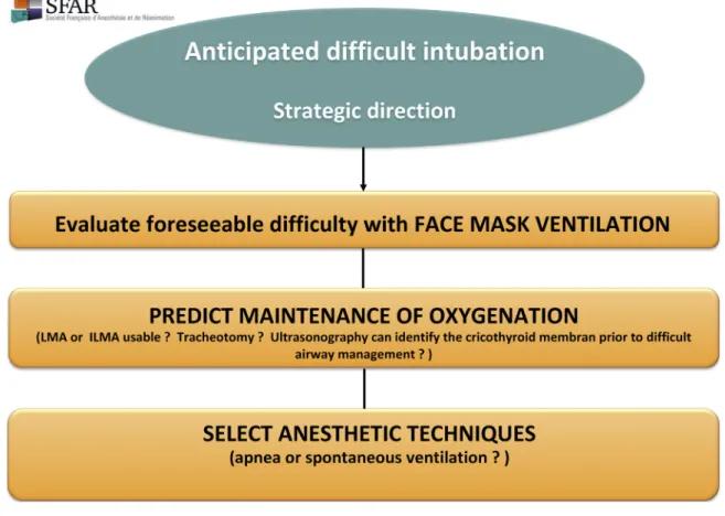 Fig. 4. Anticipated difﬁcult intubation with effective mask ventilation algorithm.
