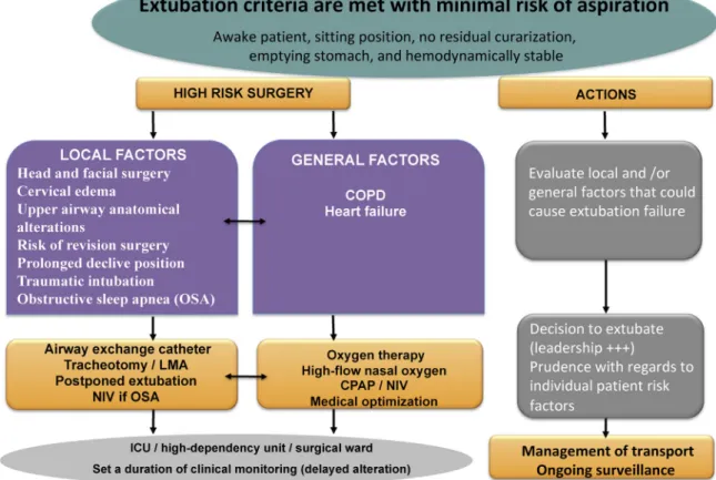 Fig. 1. Extubation algorithm according to the patient’s and surgery’s risk factors.