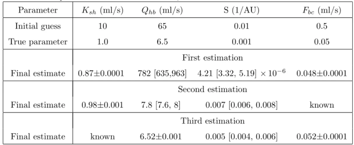 Table 3: Initial guess, true parameter and final parameter estimations for the different inverse problems performed in the first case (each time after three consecutive runs of UKF)