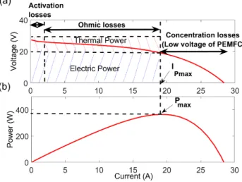Fig. 1. Polarization curve of PEMFC 