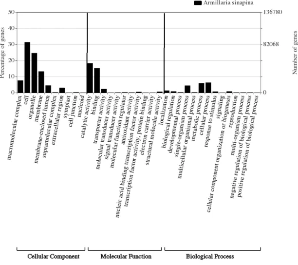 Table 2. Summary of the functional annotation of transcript sequences from A. sinapina obtained from  public databases