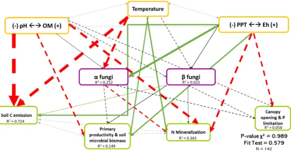 Figure 4. Causal relationships between abiotic variables, fungal diversity, and ecosystem  functioning