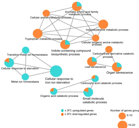 Figure 8. Transcriptome analysis of the Arabidopsis transgenic line expressing Mlp124357