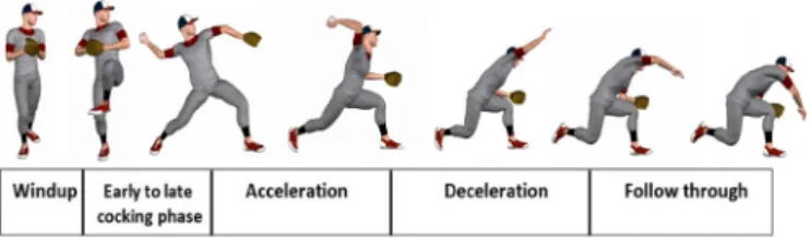 Figure 1  Baseball throwing motion phases.