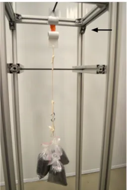 Fig. 1. Testing frame set-up. A standing frame with custom clamps  secured superiorly and inferiorly with a suspended 3-kg weight and  stabilizing bar