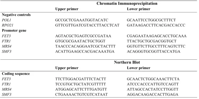 Table II. Primer sets for the PCR amplifications used in the ChIP assays and Northern Blots  Chromatin Immunoprecipitation 