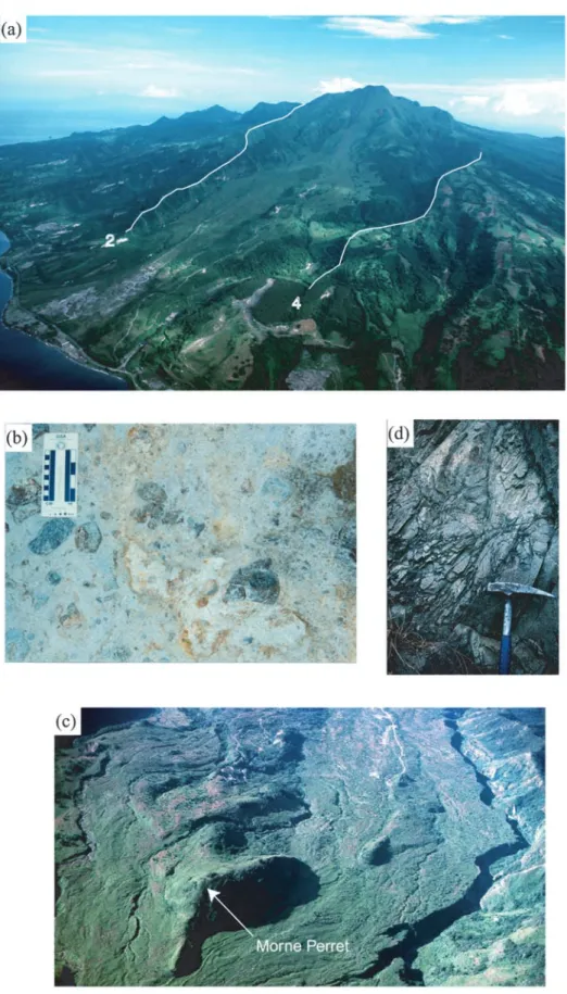 Figure 12. (a) View of the southwestern flank of Montagne Pele´e showing the structural discontinuities 2 and 4