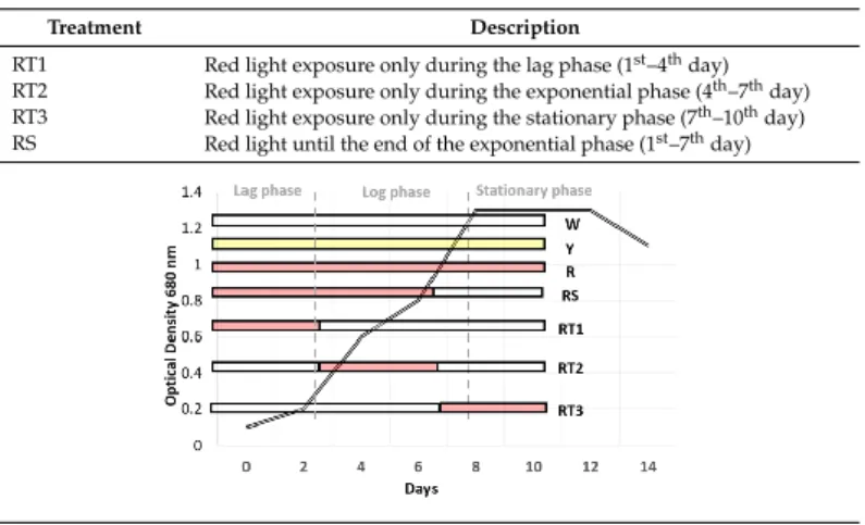Table 2. Overall experimental plan of four culture conditions (red light treatment 1 to 3 and RS)