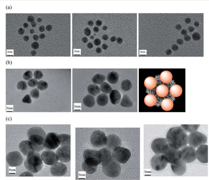 Fig. 12 TEM images of AuNP of 5 (a), 10 (b) and 20 nm (c) grafted to TYMV. (b) Model of TYMV grafted with AuNP.
