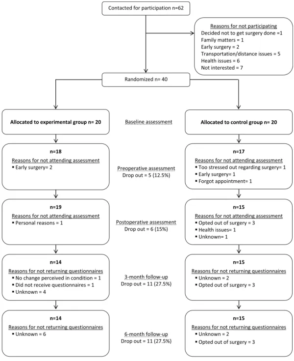 Figure 3.  CONSORT flowchart of the pilot trial.