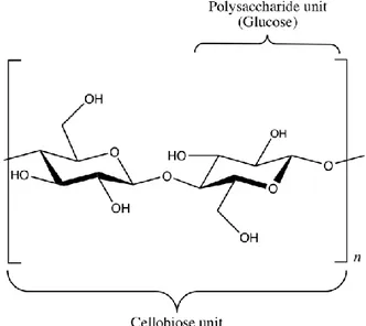 Fig. 1. Structure of the cellulose chain 