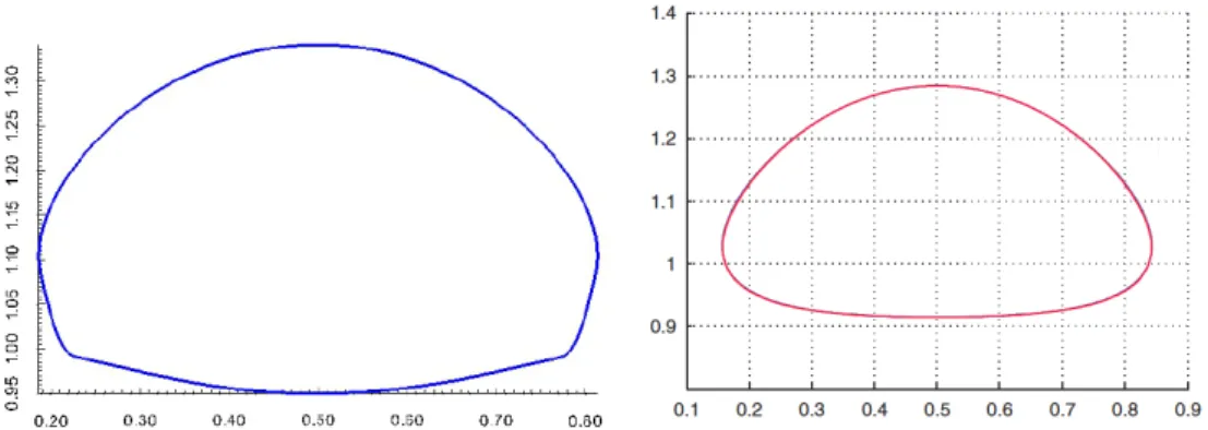 Figure 7. Bubble shape at the final time (t = 3) for the test case 1.