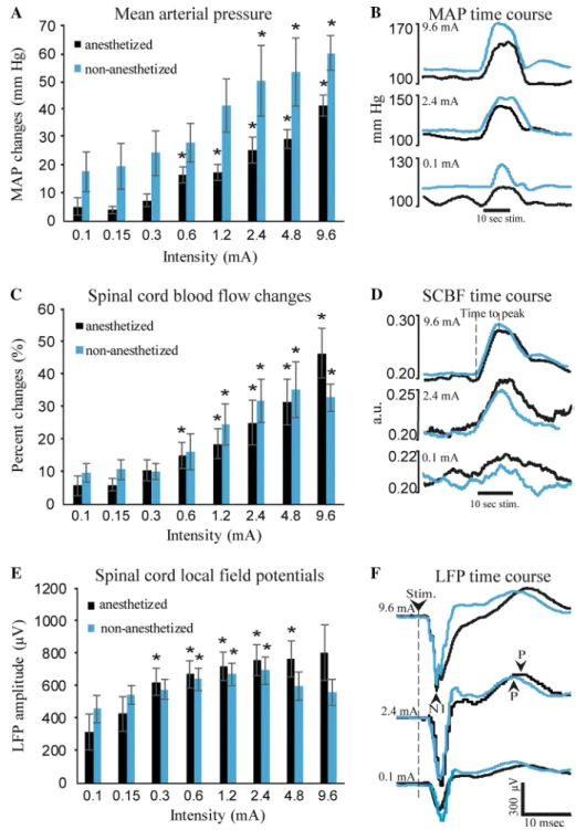 Fig. 1    Mean arterial pressure,  spinal cord blood flow and  local field potentials