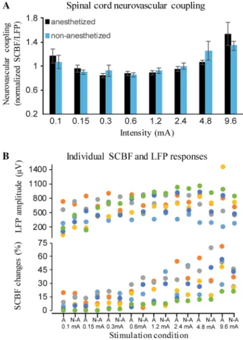 Fig. 2    Spinal cord neurovascular coupling. a Average spinal cord  neurovascular coupling (normalized SCBF/LFP ratio) at different  stimulus intensities for the anesthetized and non-anesthetized  con-ditions