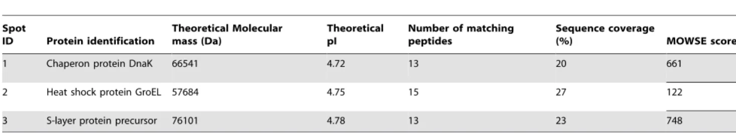 Table 1. Protein identification by MS and MS/MS analysis.