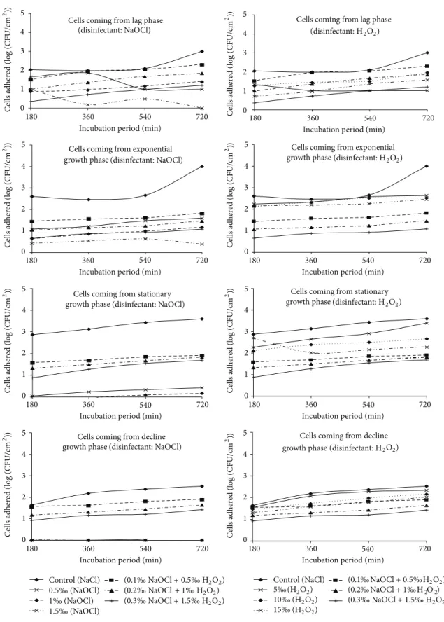 Figure 1: Temporal evolution of cells adhered under static condition after the action of NaOCl and H 2 O 2 alone and in the mixture of the two disinfectants at different concentrations.