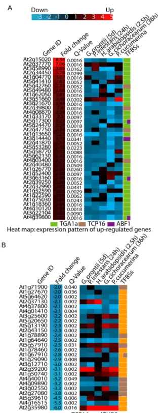 Fig. 7B). We further analyzed the identity of these genes. At2g37130 encodes a peroxidase, which was strongly Figure 7