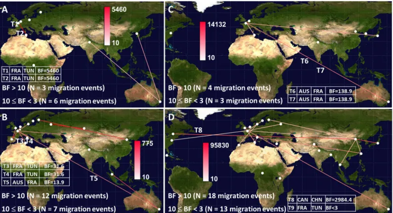 Fig 6. Spatial diffusion patterns assessed for echovirus 5 (A), echovirus 9 (B), echovirus 18 (C), and coxsackievirus A9 (D)