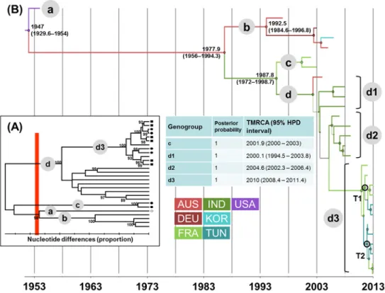 Fig 1. Genetic diversity and phylogenetic patterns of temporal and spatial distribution of echovirus 5.