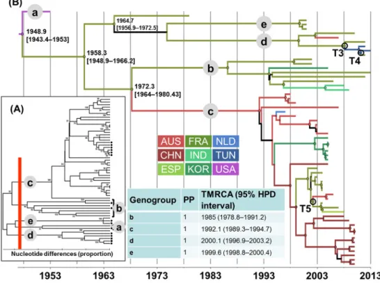 Fig 2. Genetic diversity and phylogenetic patterns of temporal and spatial distribution of echovirus 9.