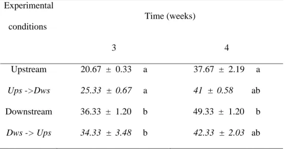 Table 2: Fungal band richness in leaf-associated fungal communities obtained during the  1 