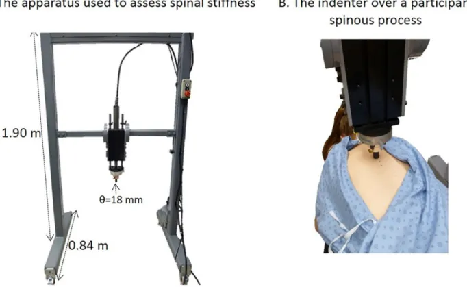 Fig 1. (A) Overview of the apparatus used to assess spinal stiffness with (B) a closer view of the indenter just above a participant’s spinous process.