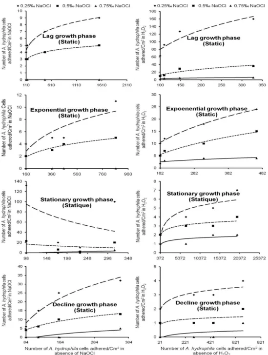 Fig. 1.Freundlich isotherms of adhered A. hydrophila cells under static condition in water treated with NaOCl  and H 2 O 2 