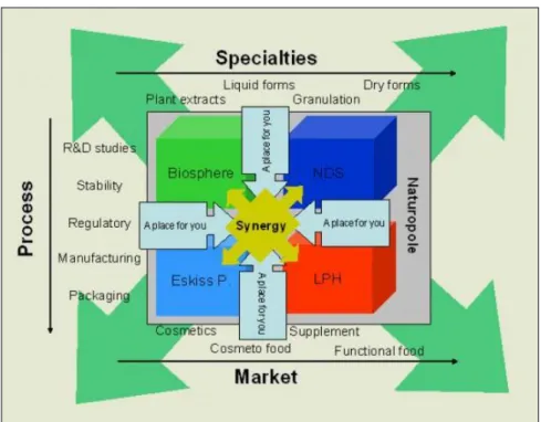 Figure 1. The ‘package solution’ offered by the Naturopôle-based micro-cluster 