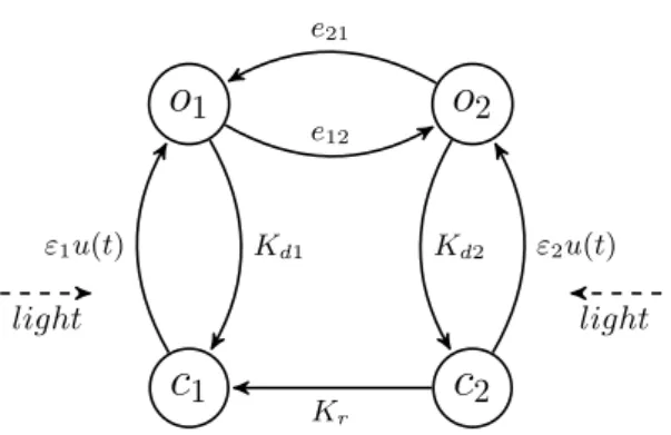 Figure 1: Simplified four states ChR2 channel : &#34; 1 , &#34; 2 , e 12 , e 21 , K d1 , K d2 and K r are positive constants.