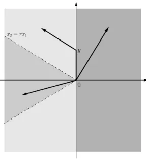 Figure 6: This figure represents the geodesics of the minimization problem (109). The darker area corresponds to the case x 1 &gt; 0 and the lighter one to the case x 1 &lt; 0 and |x 1 | ≥ r|x 2 |.