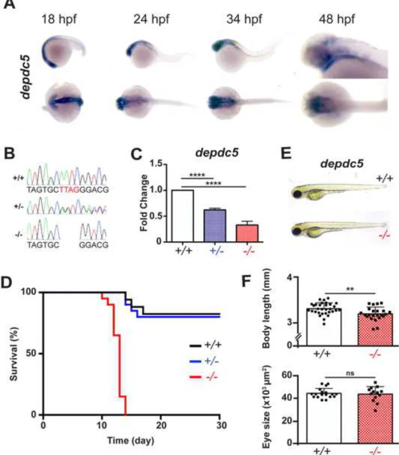 Figure 1 Click here to download Figure Fig 1.tif 