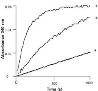 Fig. 2. Kinetics of the aggregation of  α -amylase refolding intermediate monitored by the increase in light  scattering at 340 nm