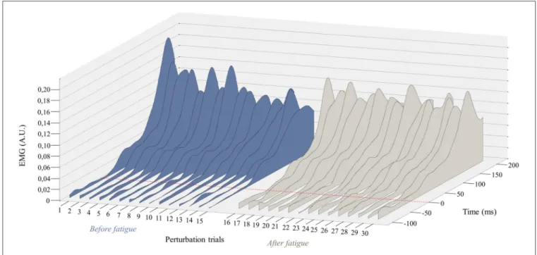 FIGURE 5 | Representation of the mean EMG activity traces for the right erector spinae before (perturbation trials 1–15) and after (perturbation trials 16–30) the fatigue task