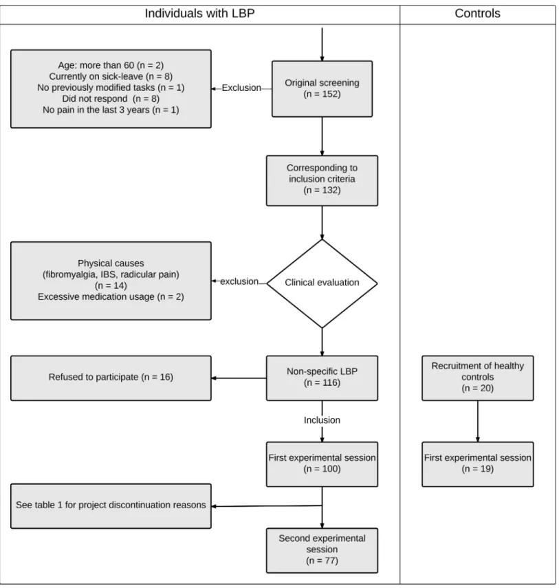 Fig 1. Progression of the study and number of participants taking part in each step.