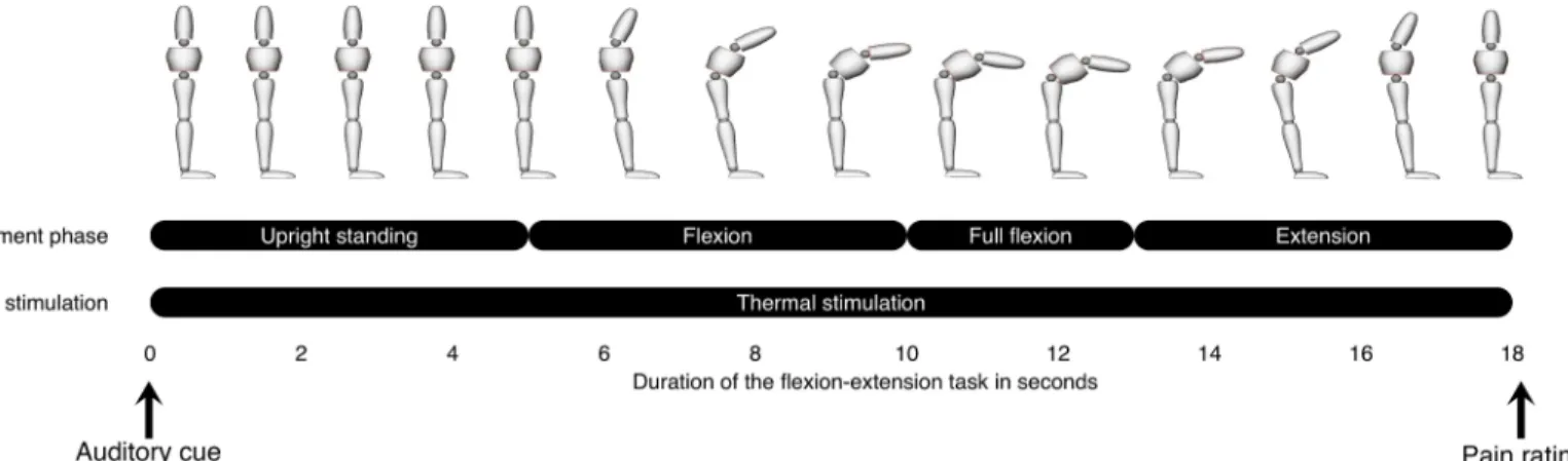 Fig 3. Experimental procedure illustrating the combination of a flexion-extension task with cutaneous heat applied to the lower back.
