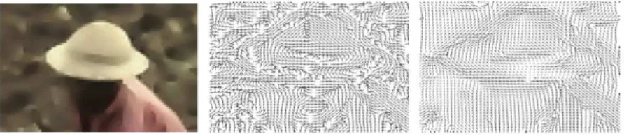 Fig. 5 A color image (left) with the corresponding unit vector field of edge orientations (middle) and a Clifford-Beltrami regularization of this vector field (reprinted from [3]).