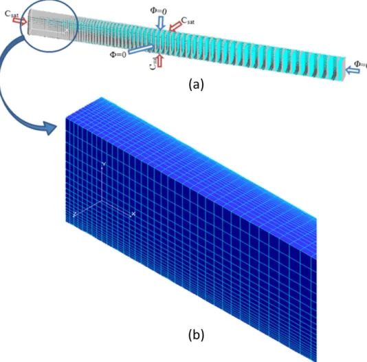Figure 8: FEA results for the concentration across a section of a specimen along immersion (20º C)