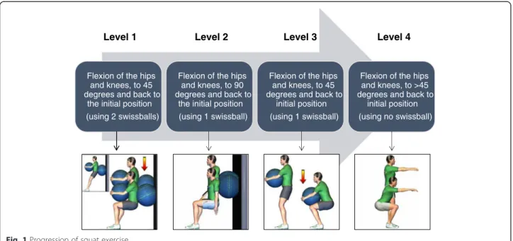 Fig. 1 Progression of squat exercise